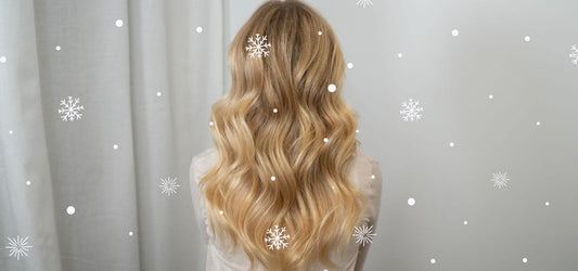 The Holiday Look Book